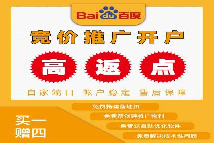百度竞价成功案例解析